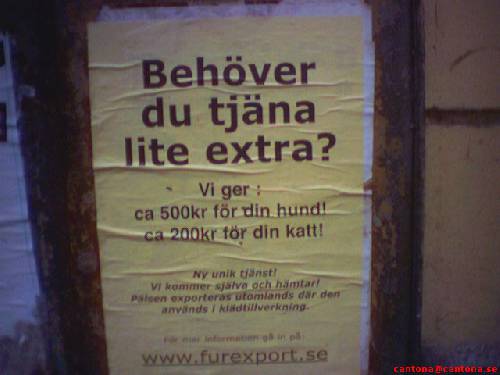Bild av HerrSweinfeldt