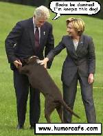 Är det bara jag som misstänker att hunden heter Monica Lewinsky?