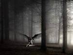 I walk alone in the darknesss , my wings are broken , my heart to.. I can fly away from my problems anymore..