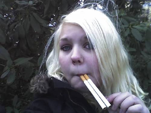 Bild av panpan