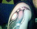 Min Högra  Tattoo !