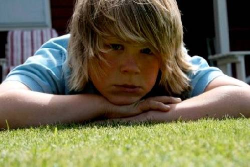 Bild av gustaw
