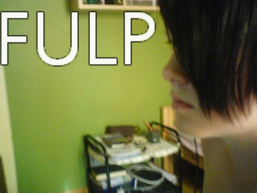 Bild av FULP