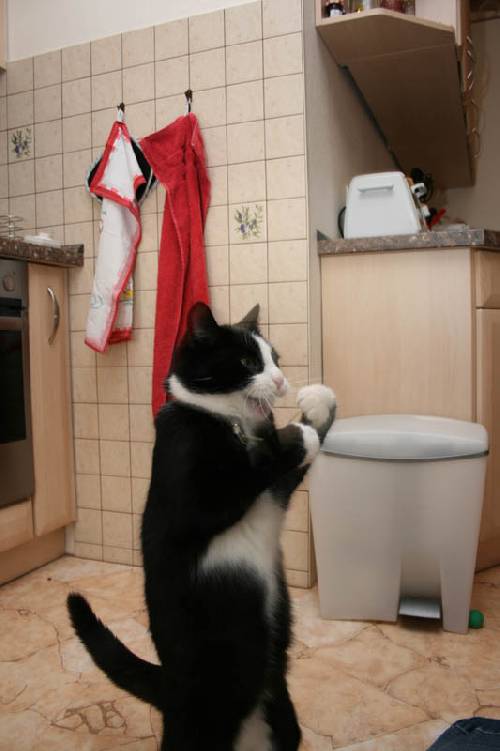 Dont mess with me!