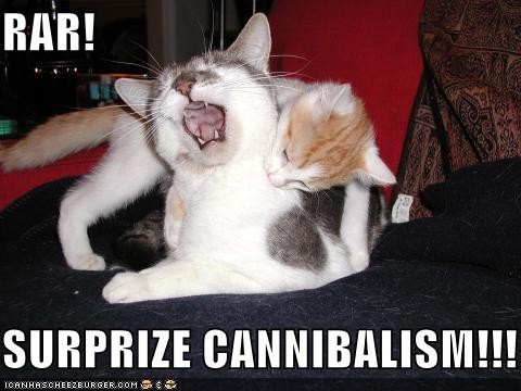 SURPRISE!!!