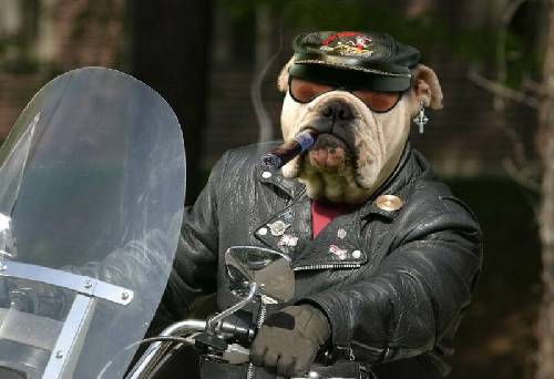 Han är cool!