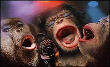 Ny version av Dreamgirls?
