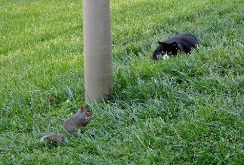 I will get you!