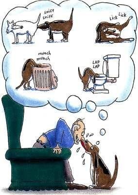 Hunden älskar matte :)