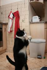 Dont mess with me!
