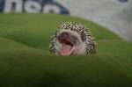 SMILE!