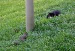 I will get you!