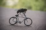 Mini bike!