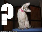 ?