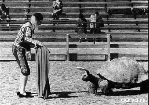 Bild av superwalle3