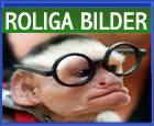 Bild av superwalle3