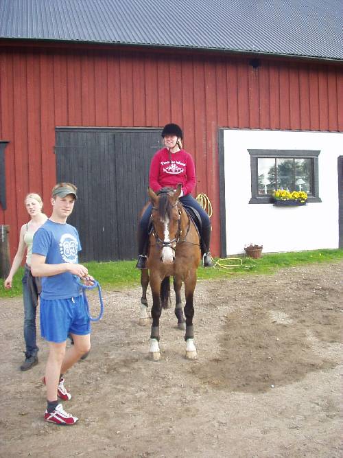 Bild av applecider