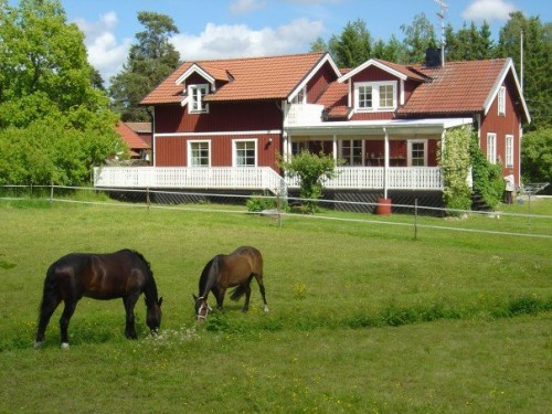 My house