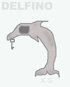 Delfino :)