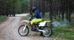 Bild av skabb