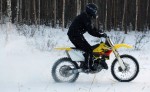 Bild av skabb