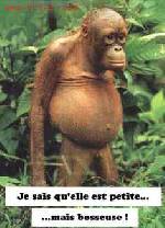 Bild av DeletE