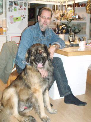 Min älskling Bamse, 100 Kg hund de är inte helt fel men jaa han behöver ju ine visa kuken kanske hehe