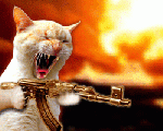 galen katt