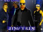 meitrix nae simptrix