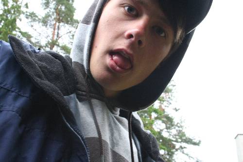 Bild av mosmos