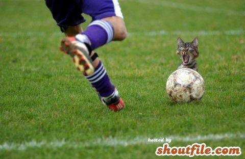 HAHA COOLT :D:D