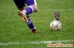 HAHA COOLT :D:D