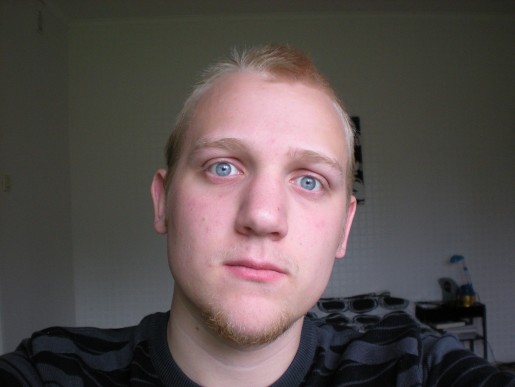 Bild av nickelainen