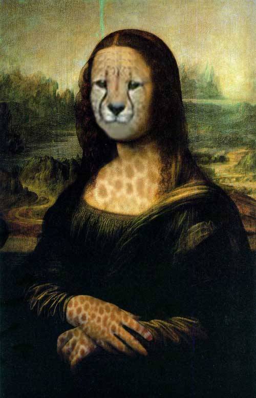 tiger lisa