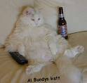 AL BUNDYS KATT