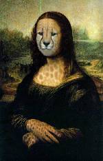 tiger lisa