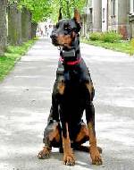 Bild av homerboy66