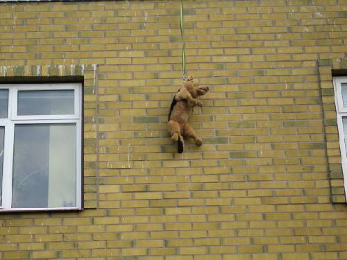 MORD eller flygande Hund hmm ? ? ? ? ?