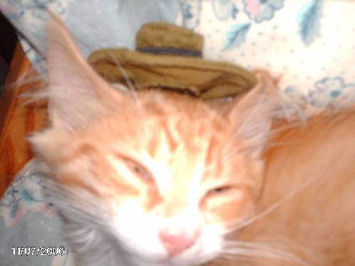 ....
