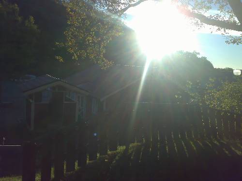Fiin sool