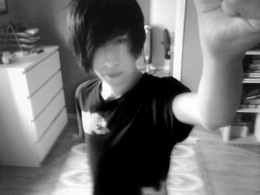 Bild av fakejeppe