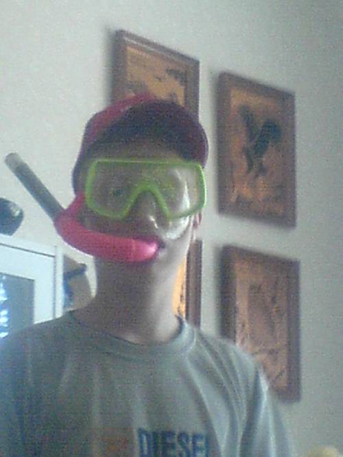 Bild av master