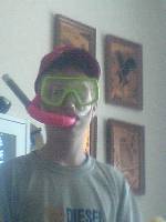 Bild av master