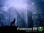 FBKs Wolf