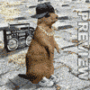 hip hop