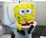 svampbob