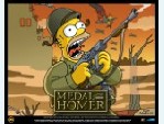 homer.....................