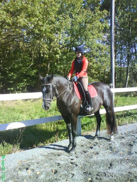 Bild av duttan