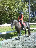 Bild av duttan