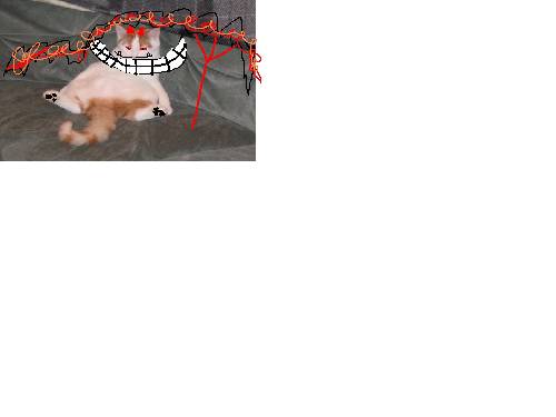 jag=stygg